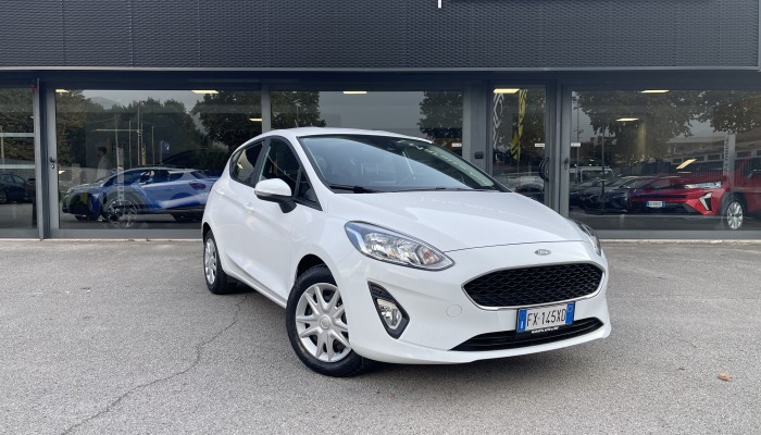 FORD Fiesta 1.1 75 CV GPL 5 porte Business